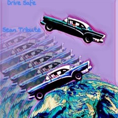 Vicious Vision- Drive Safe- Sean Tribute