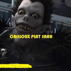 PKRM DMCLS(caillouX Plat Saah)