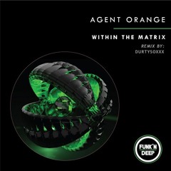 Agent Orange - Within The Matrix (Durtysoxxx Remix)[Free Download]