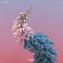 Flume - Wall Fuck (sammiebeats remix)
