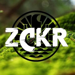 ZCKR- Desparody 2k17