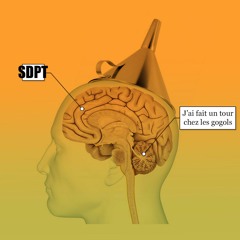 J'ai fait un tour chez les gogols