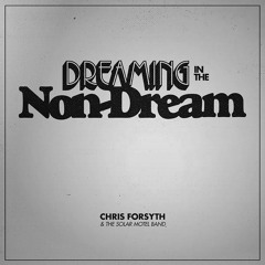 Chris Forsyth & The Solar Motel Band "Dreaming In The Non-Dream"