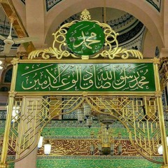 امين الدشناوى /اسد الصحابه