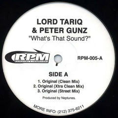 Lord Tariq & Peter Gunz - What's That Sound? (Original Street Mix)