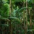 Artwork for Jungle Love