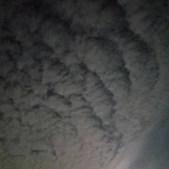 2 June 2017 Live Show