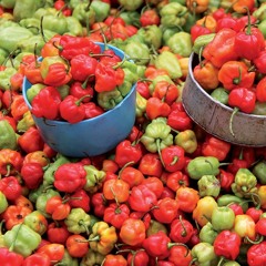 MADAME RAP (inédit)