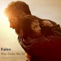 Kaleo - Way Down We Go (Niblewild Extended Bootleg)
