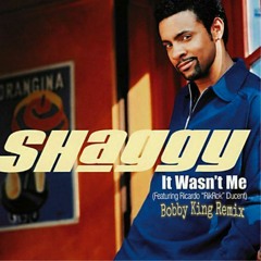 Shaggy - It Wasn't Me (Bobby King Remix)