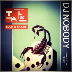 TALK TALK - Such A Shame (Dj Nobody New Electro Re Edit) .mp3