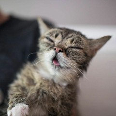 Gangsta Shit (The Stand Up Freebie)