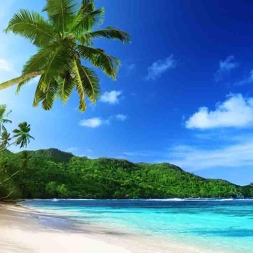 Spartan Soldier X Inside The Line Tropical Remix2k17