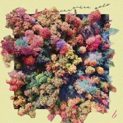 Carrière Solo - So Low