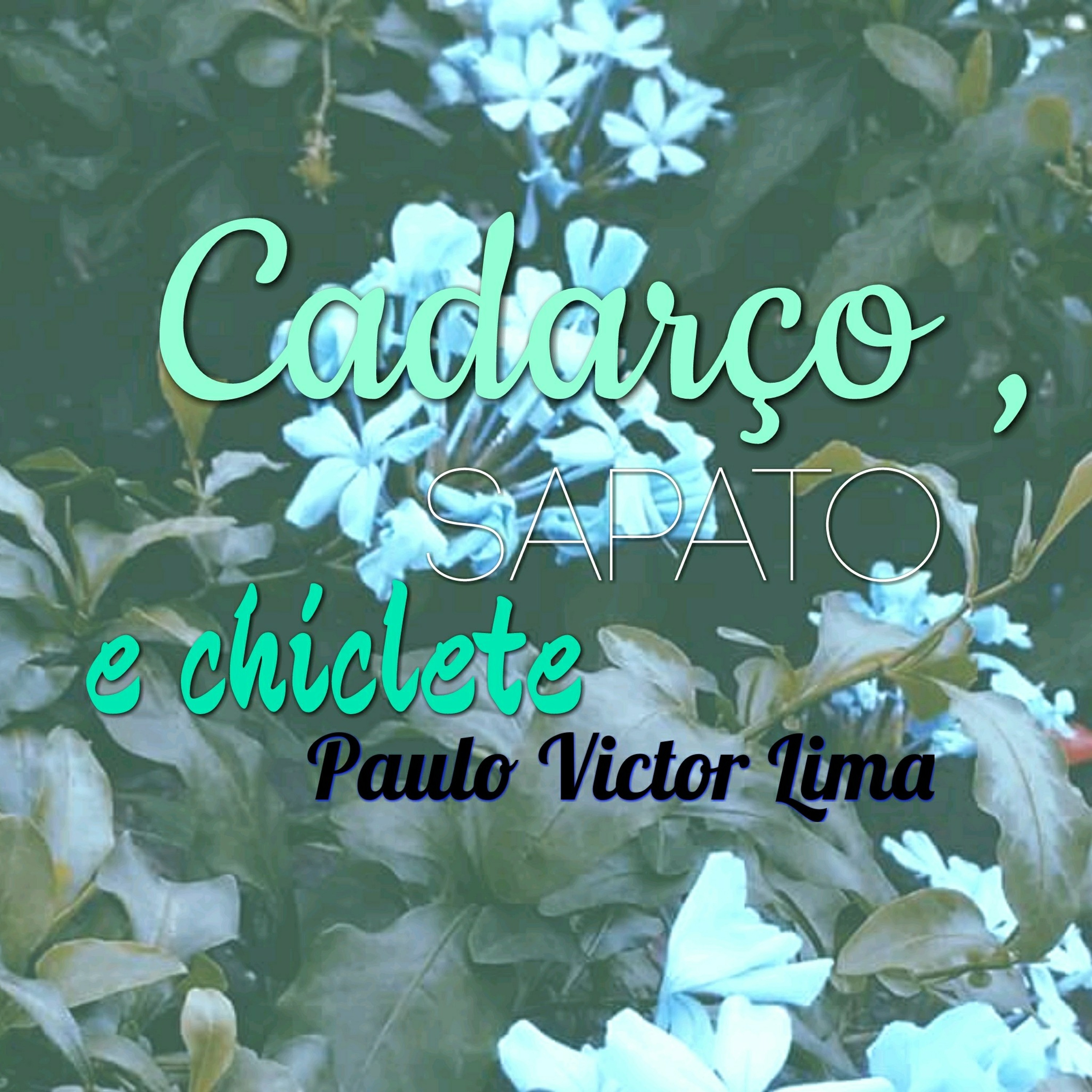 Paulo Victor