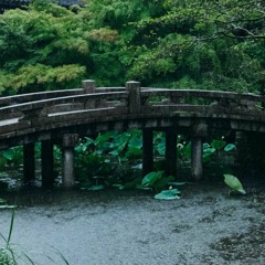 Serenity