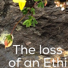 PSEVDO 01 - The Loss Of An Ethi