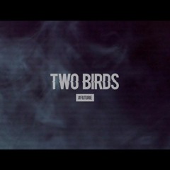 Dzp-bhangra(two birds remix)Full track