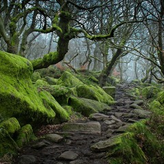 Forgotten Journeys.  Written and played by Johnny Pugh with Dan Van Den Berg on guitar