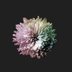 Regenboog (Original Mix)