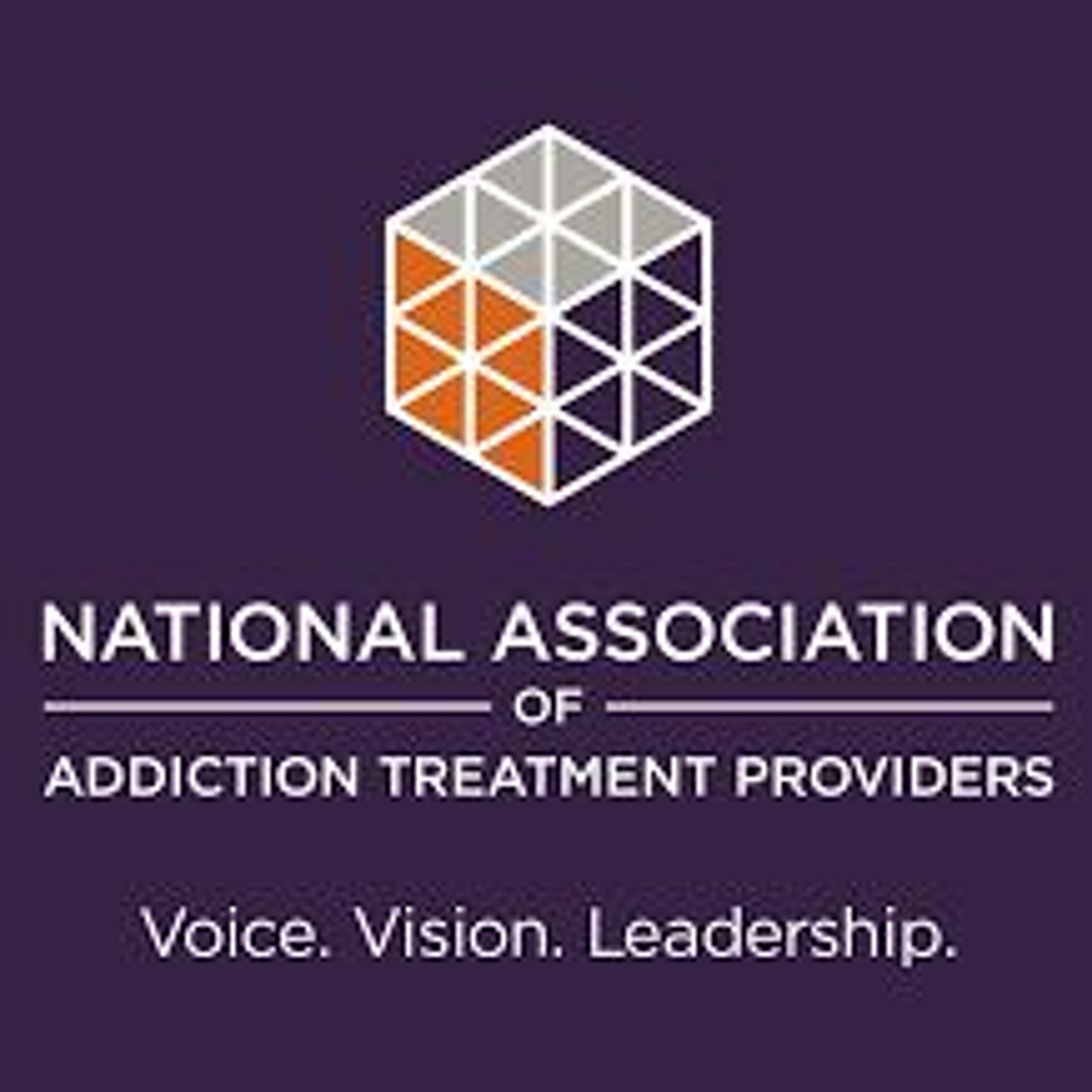 2017 NAATP Leadership Conference  - Facing Addiction In America - Kimberly Johnson, PhD