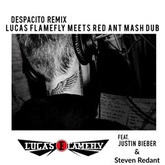Justin Bieber vs. Steven Redant - Despacito (Lucas Flamefly Meets Red Ant Mash Dub)