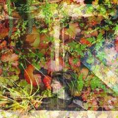 Oiseau Sur Un Fil (Feat. Kalika)