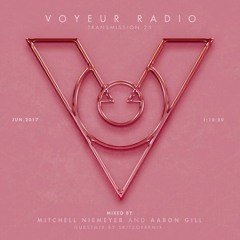 Voyeur Radio 025 By Mitchell Niemeyer & Aaron Gill - Guestmix By Skitzofrenix