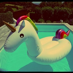 # Grillen, Chillen...und die Sache mit dem Einhorn # mixed by Funk2Mars - Tanz!Effekt