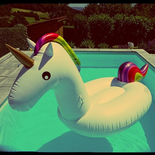 # Grillen, Chillen...und die Sache mit dem Einhorn # mixed by Funk2Mars - Tanz!Effekt