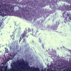 Black Box/Senectitude