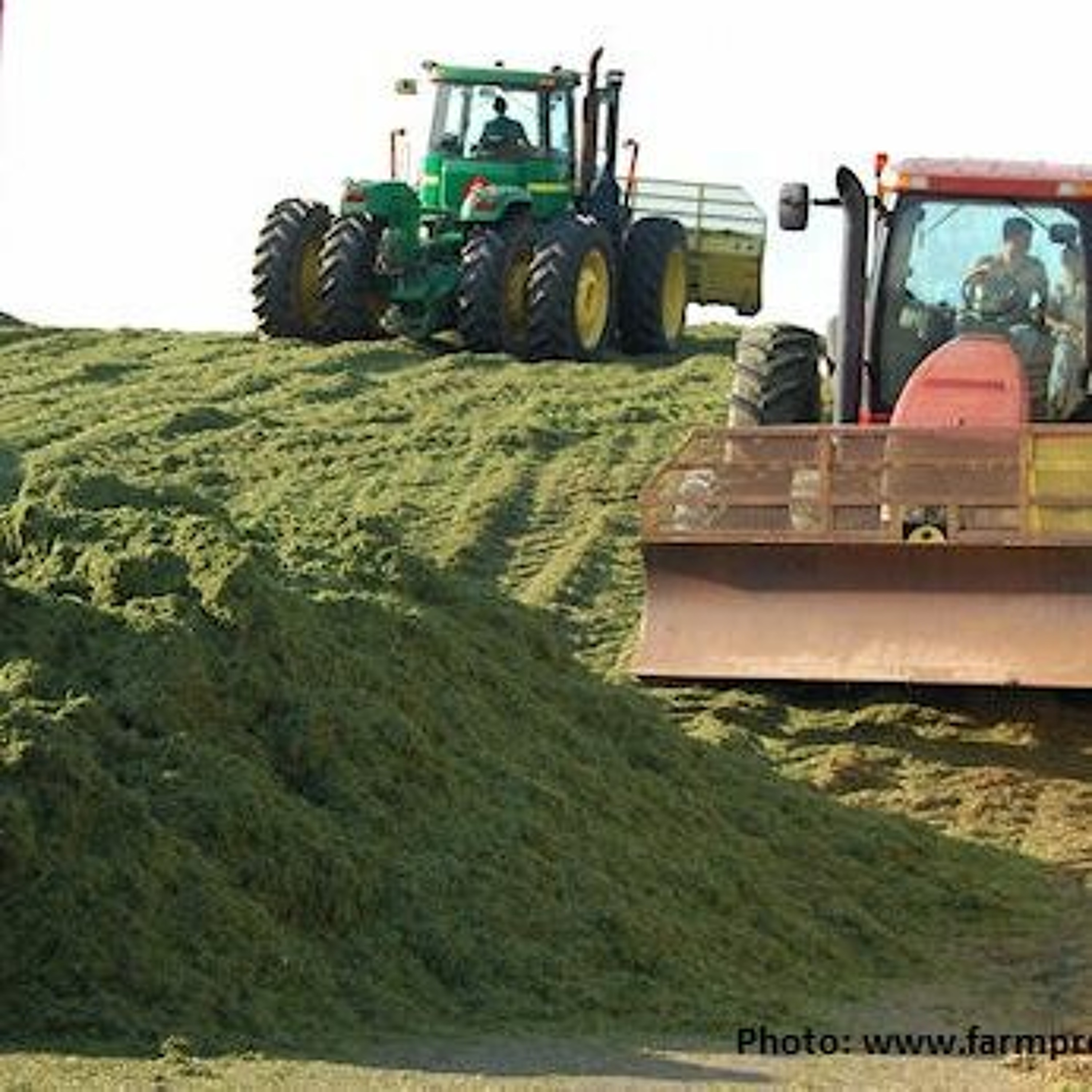 Corn Silage: Part 2 Equipment Settings and Safety
