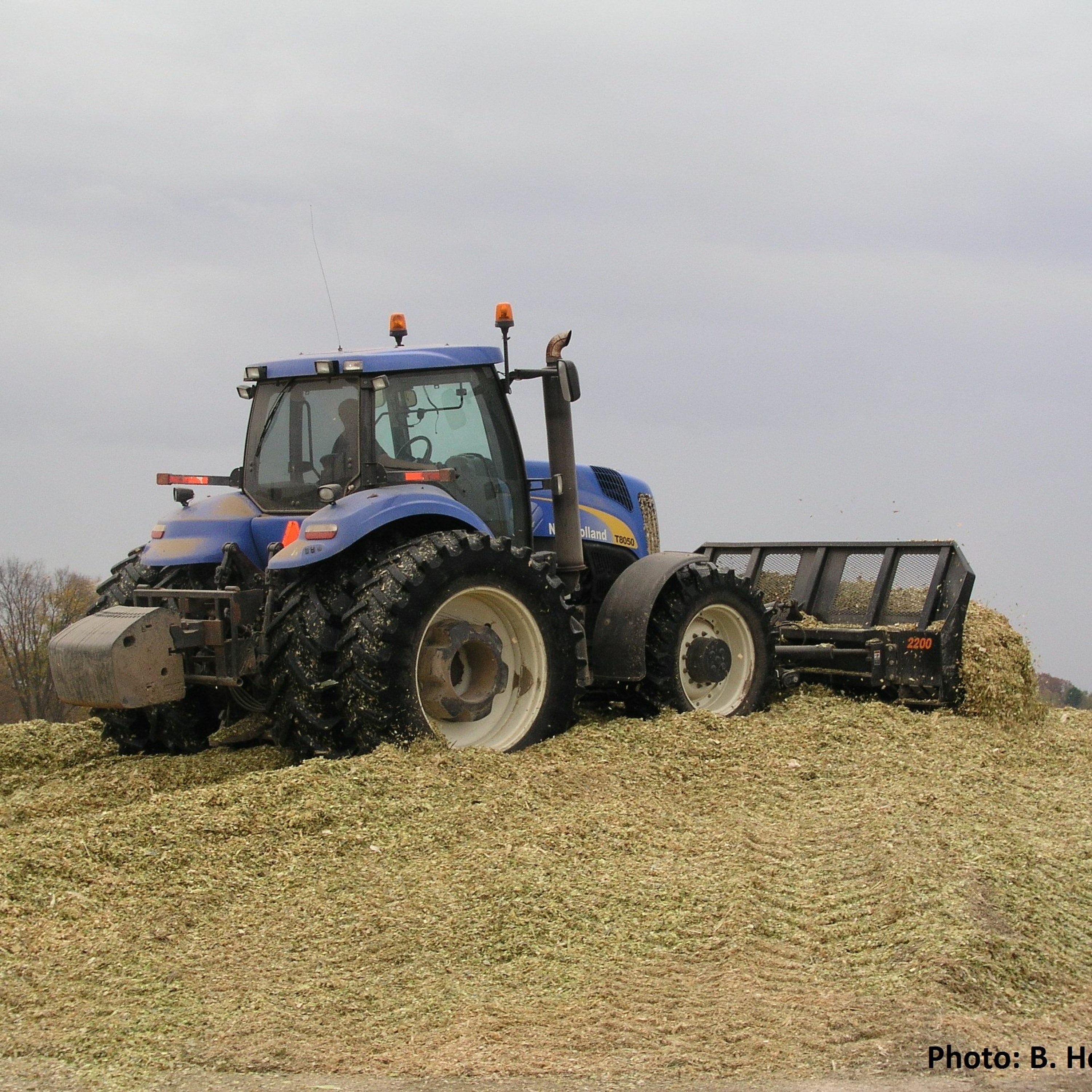 Corn Silage: Part 3 Signs of Proper Processing, Packing, and Storage Plus SafetyTips