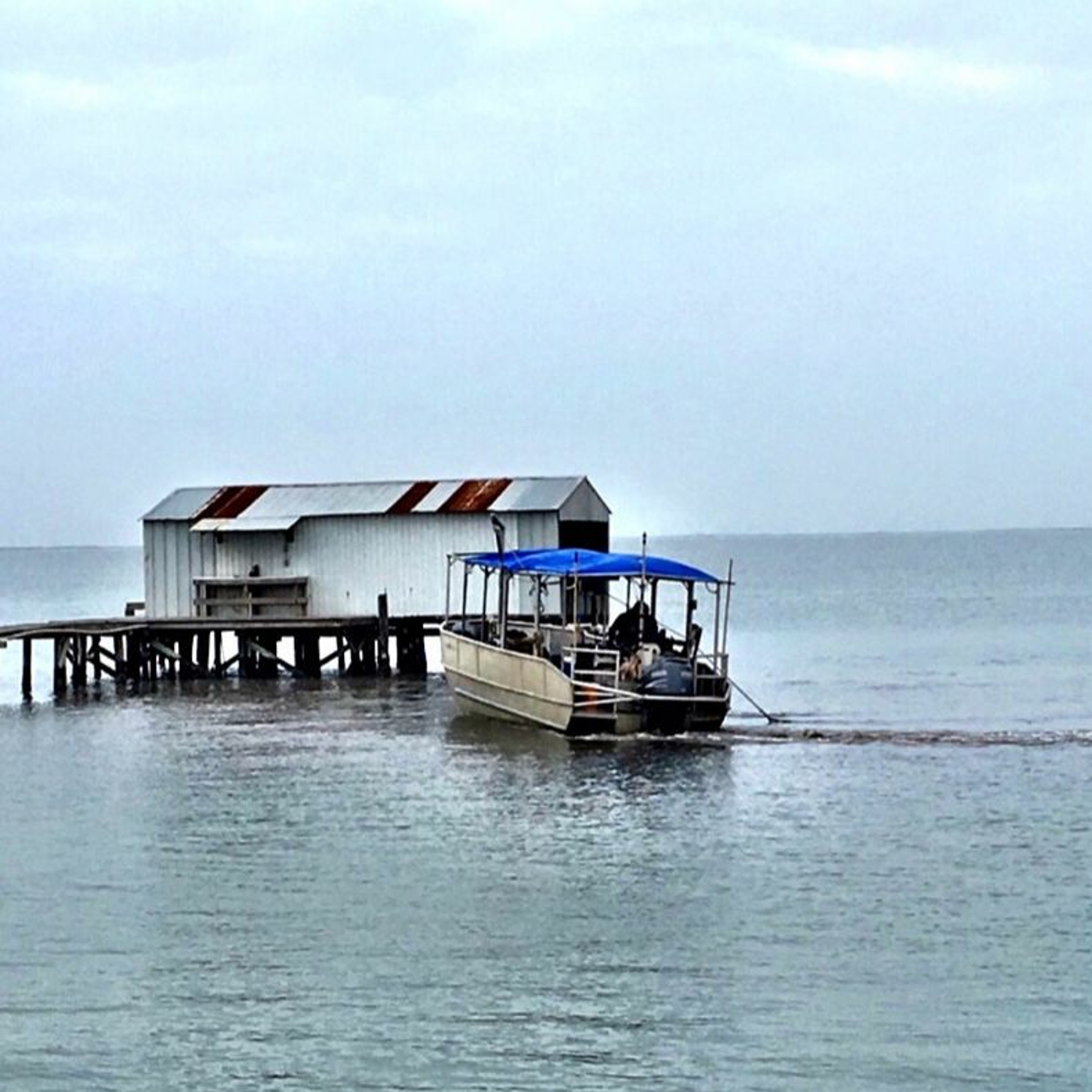 Coastal Advocacy Adventures Podcast