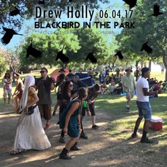 Blackbird Party In The Park
