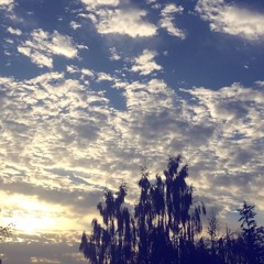 Leaves Tapping On My Shoulder