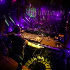 Dj Guadaloop - Psychedelic Rave May 2017