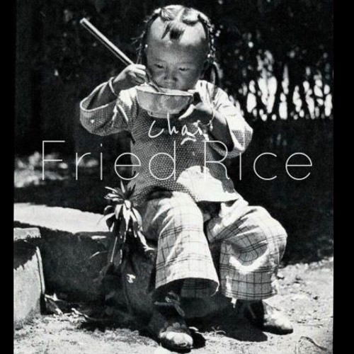 Fried RIce (LoFi x Knxwledge)