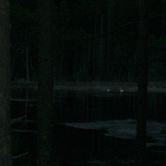 at 5:00 am at the lake