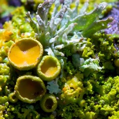 Rock & Hip Hop Demo 01