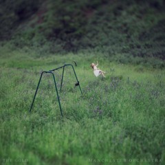 Manchester Orchestra - The Gold