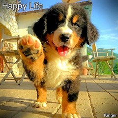 Happy Life