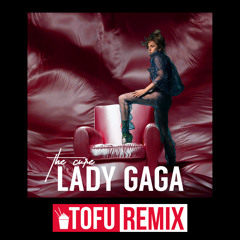 Lady Gaga - The Cure (TOFU Remix)(CLICK BUY FOR FREE DOWNLOAD)