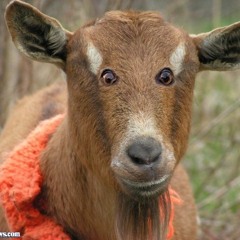 2Three X The G.O.A.T.