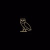 Drake Shut It Down Nosleep Remix Mp3