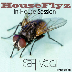 Seth Vogt - HouseFlyz (In House Sessions 002)