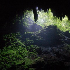 the secret password to enter the moss grotto