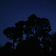 Silhouette - Birdy Cover