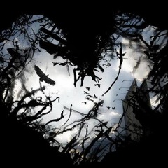 Dark Heart {Goth/ Electro/EBM]- Demo