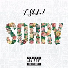 Sorry (T-Mix)[Rick Ross feat. Chris Brown Cover]
